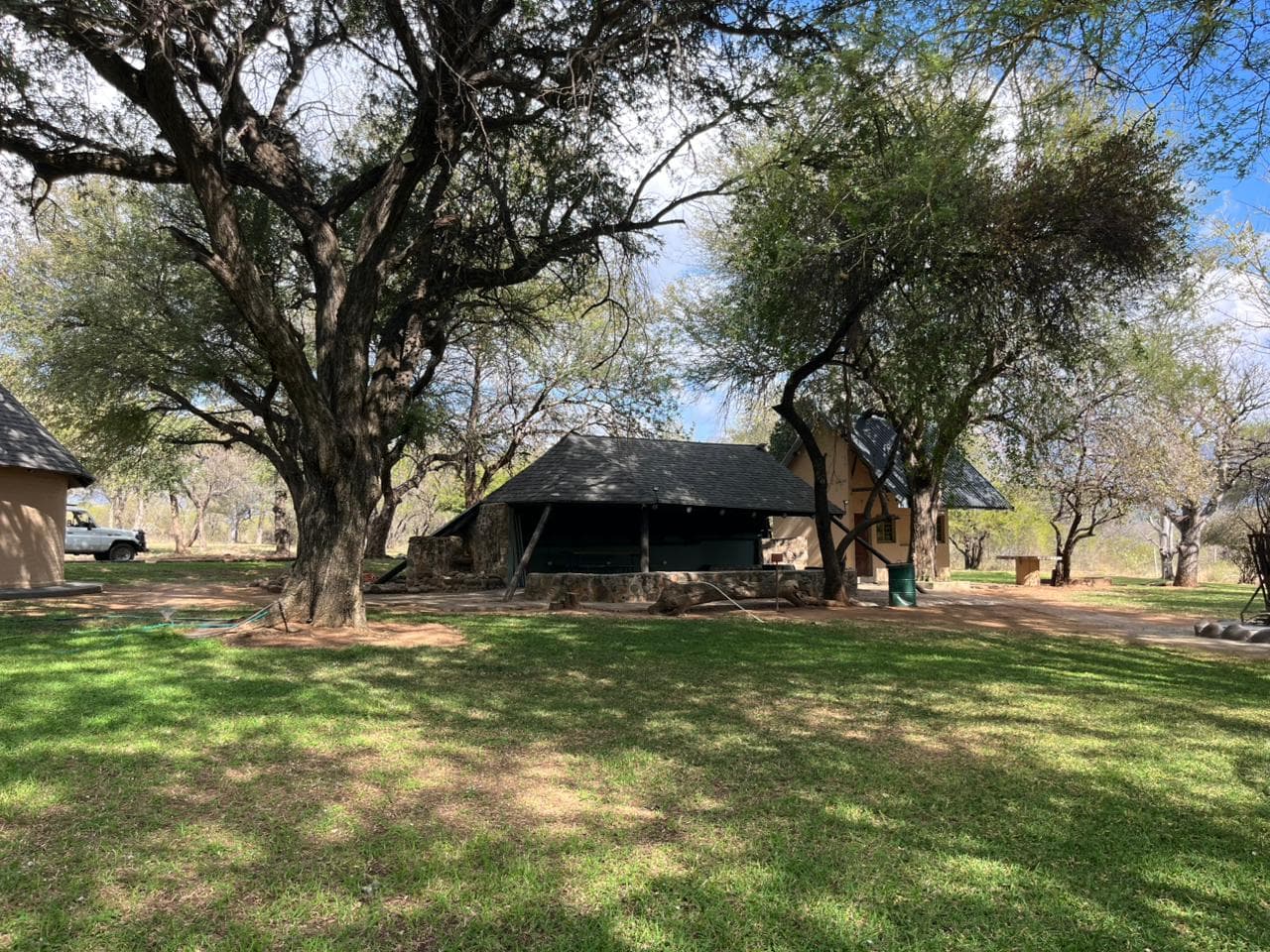 Thatched camp building under lowveld trees
