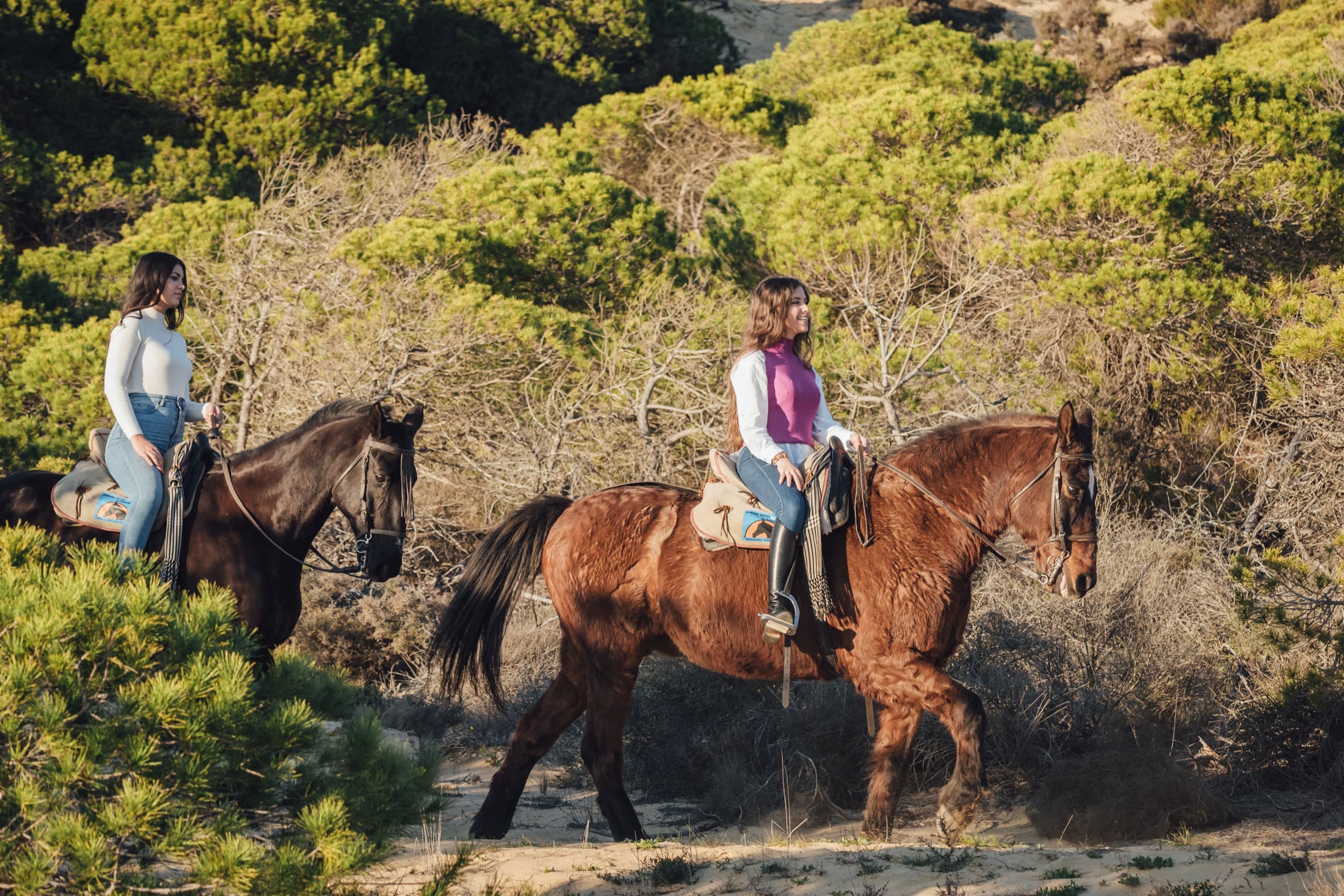 Small group riding through green countryside