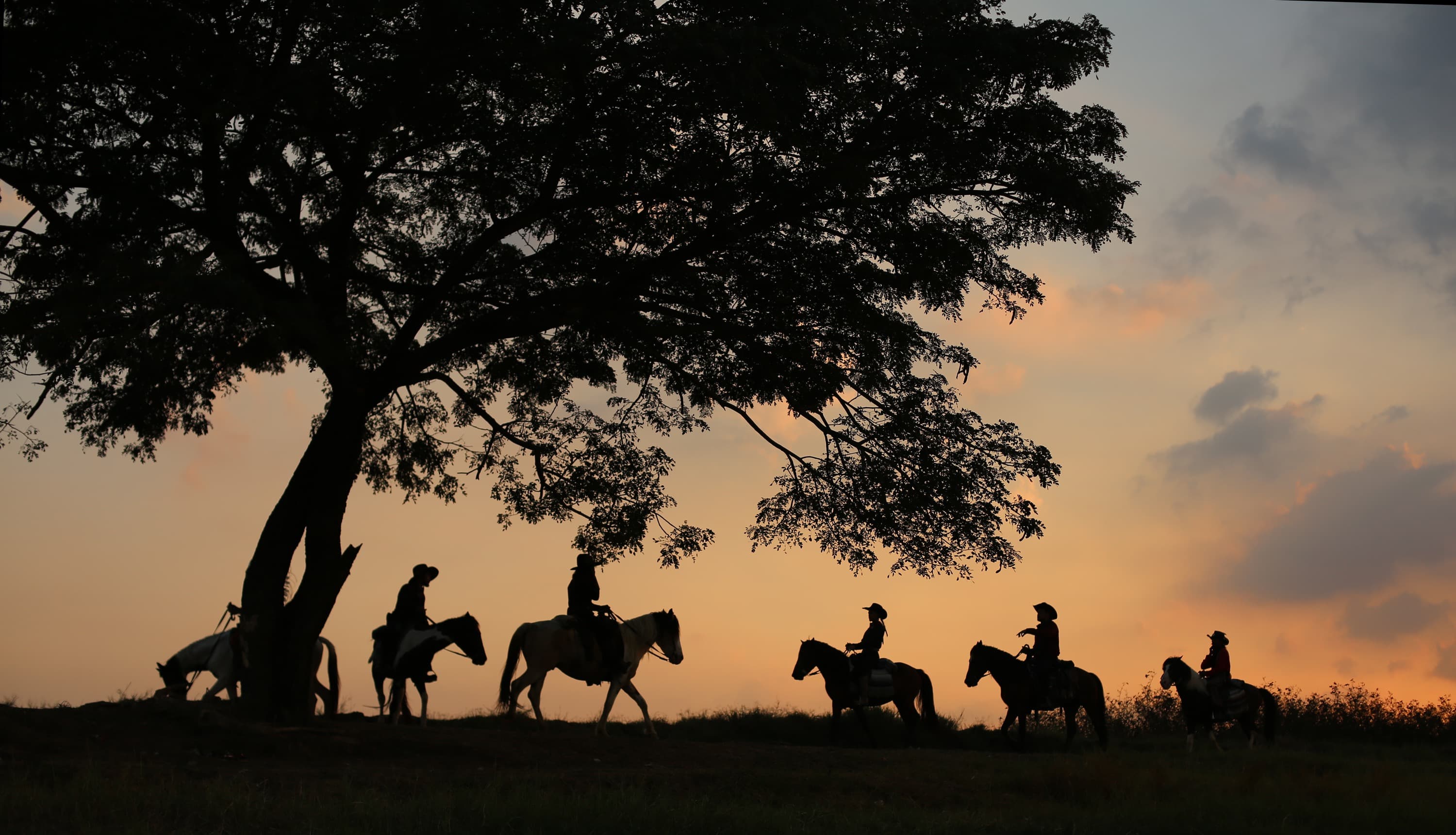 Riders silhouetted on horseback at sunset