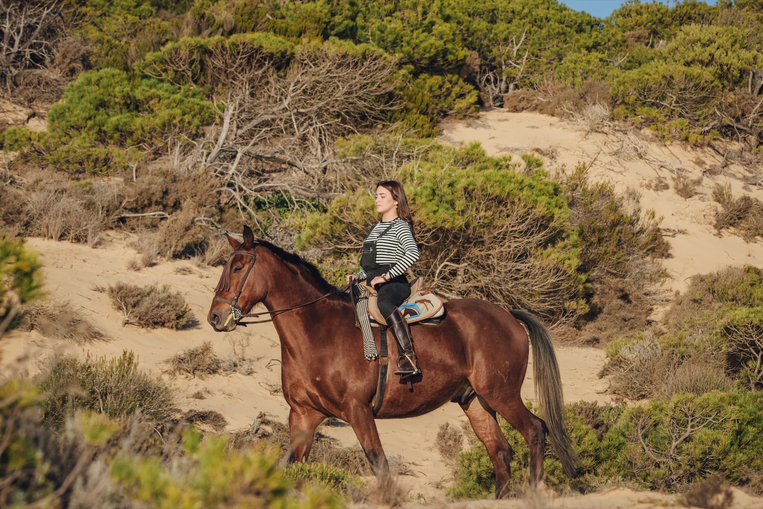 Rider with horse near a stable