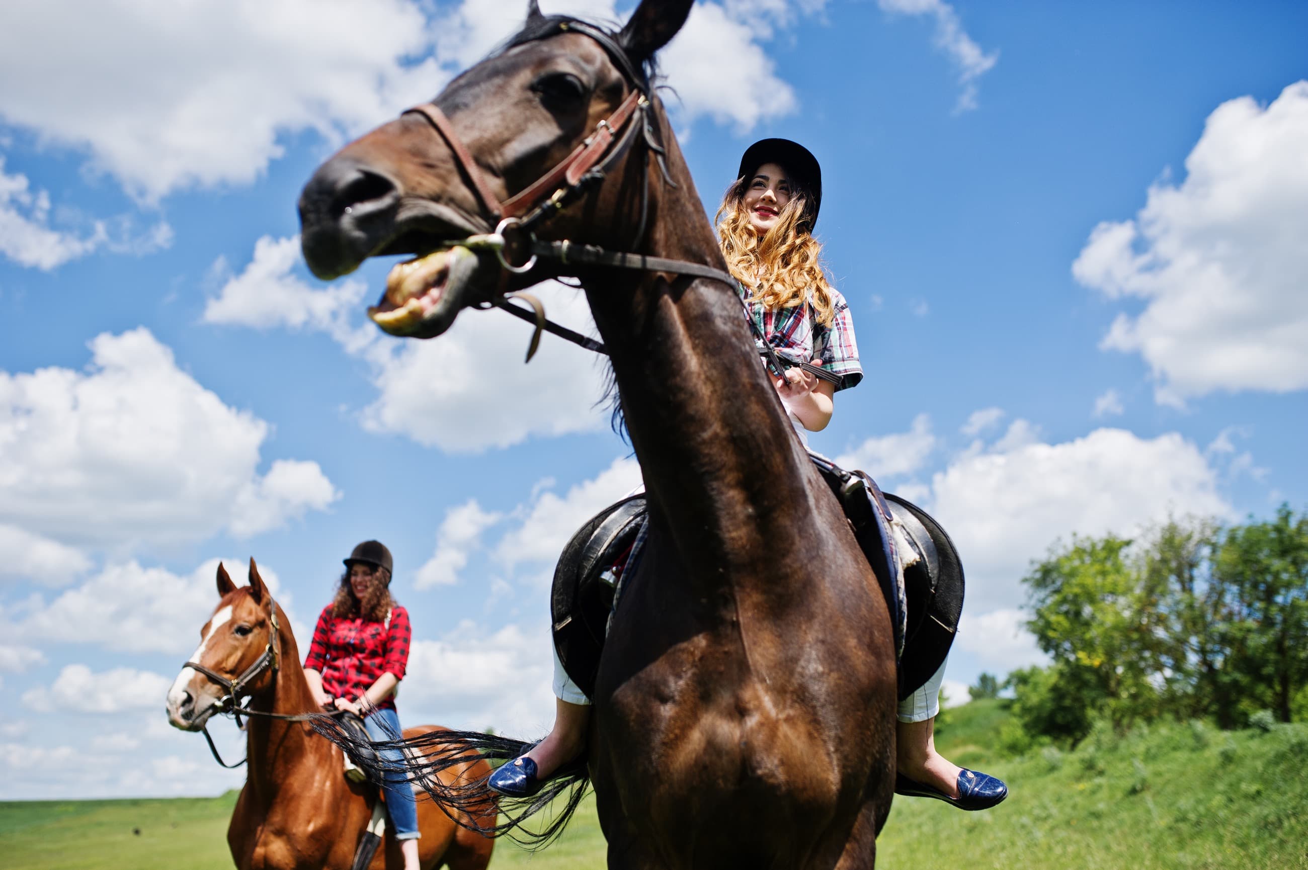 Two riders crossing an open field
