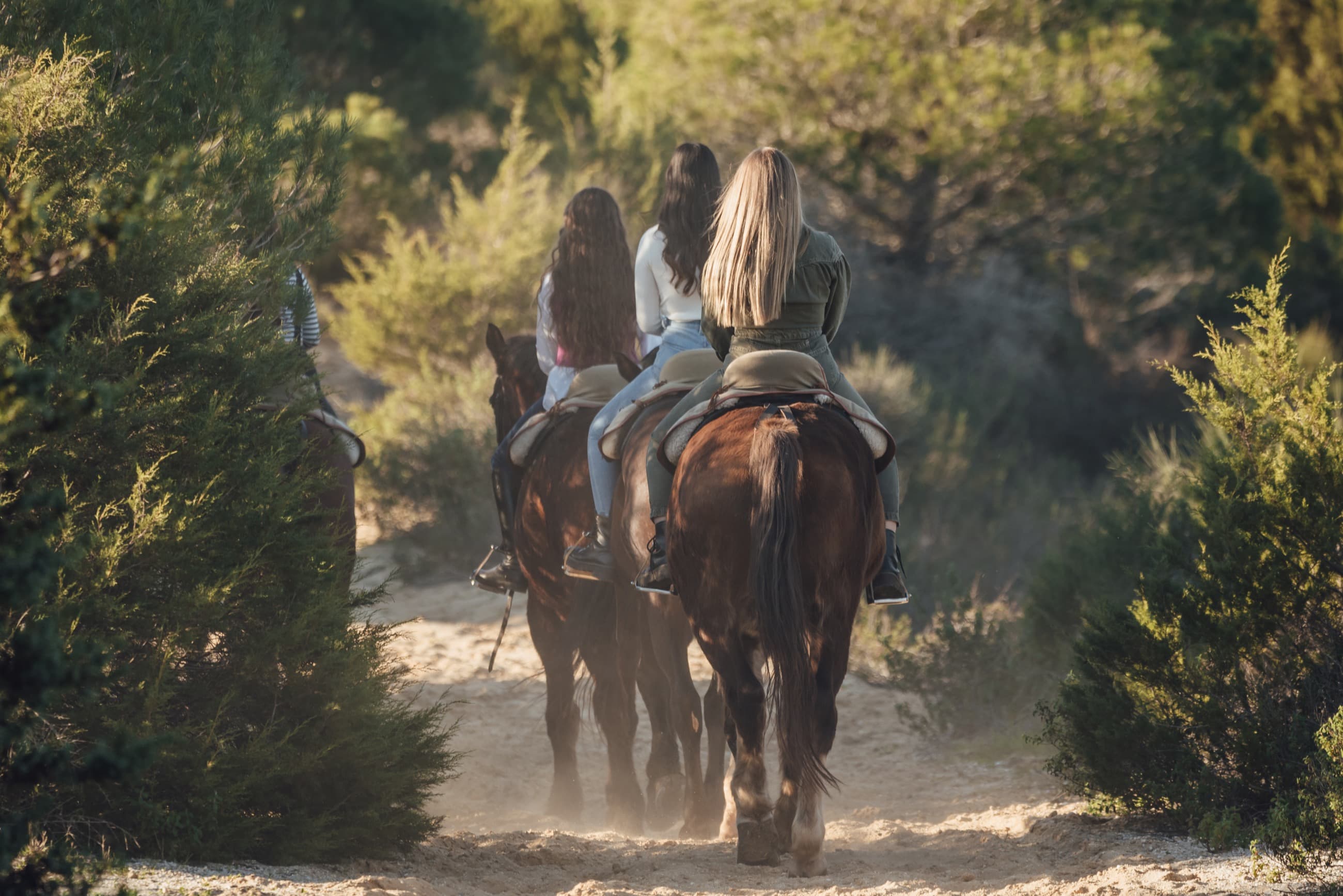 Women riding horses through sunny countryside