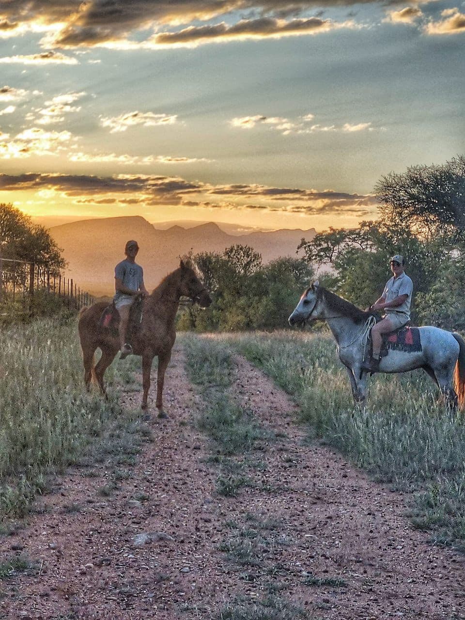 Riders returning along the track at sunset