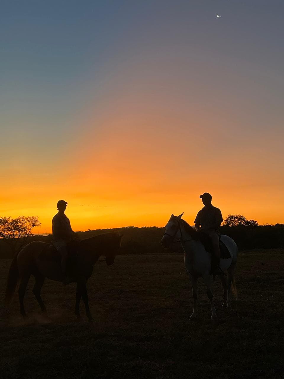 Mounted riders under a lowveld sunset