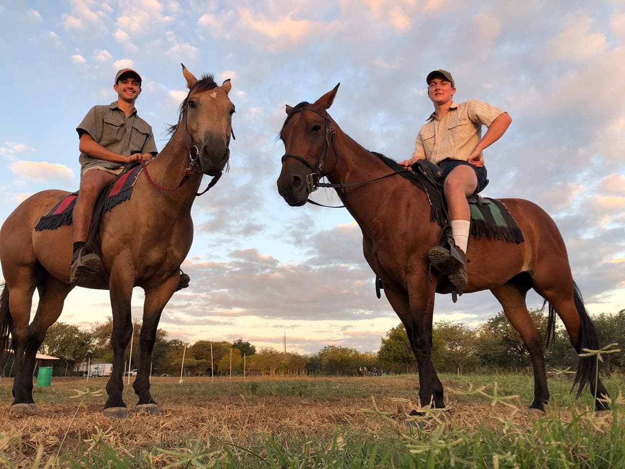 Riders lined up with their horses