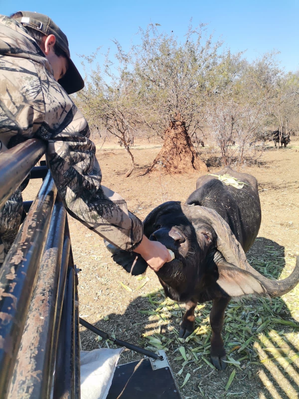 Volunteer moment with wildlife in the field