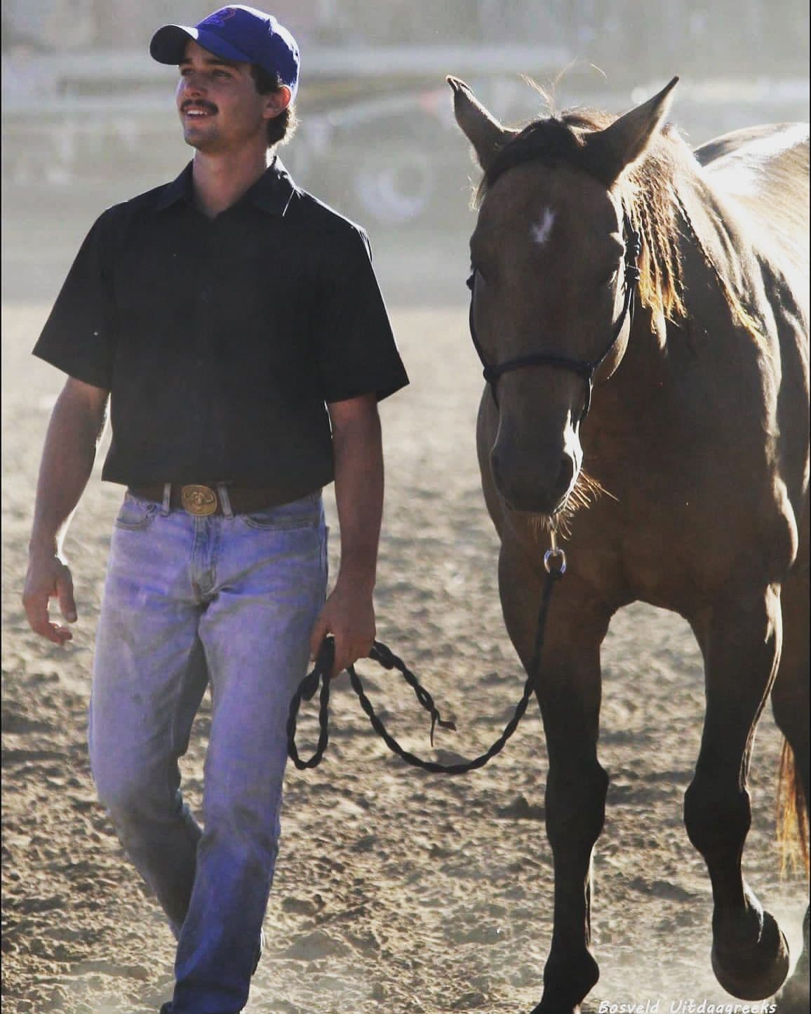 Handler walking a horse in soft light