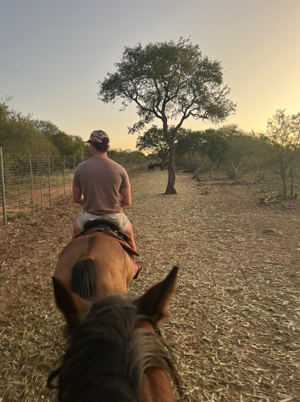 Mounted guide beside a lone tree