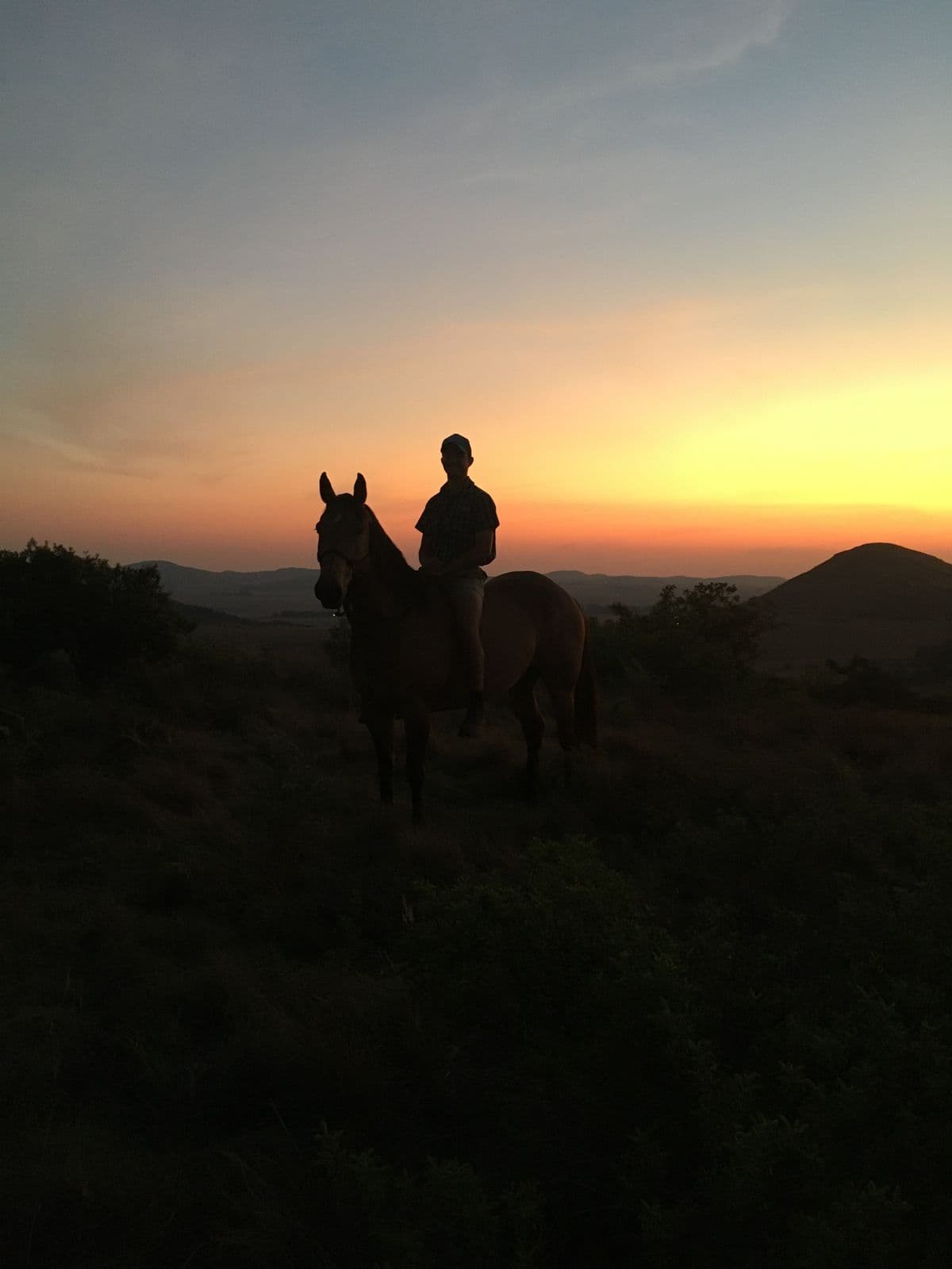Rider silhouette at sunset