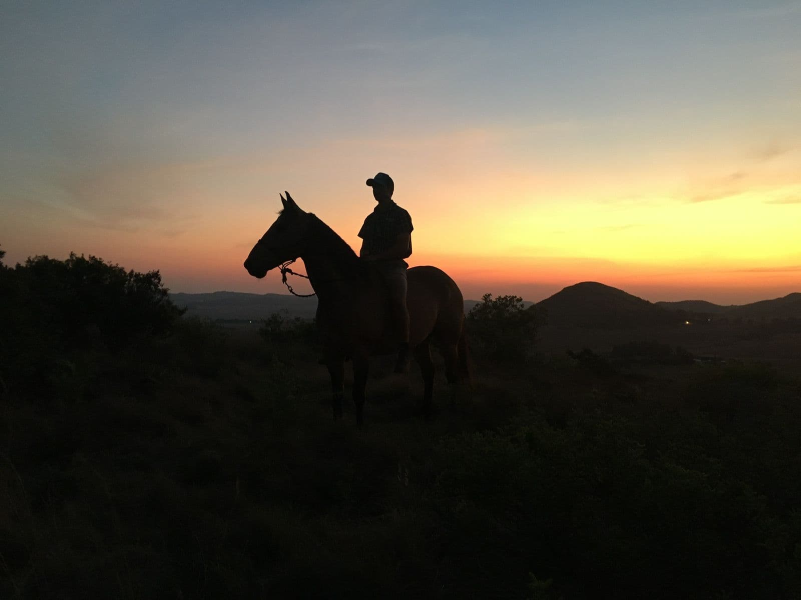 Mounted riders silhouetted on the ridge