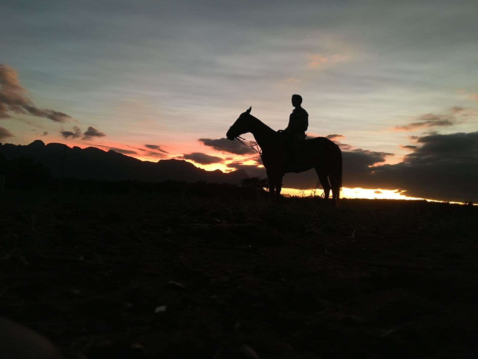 Rider crossing the horizon at sunset