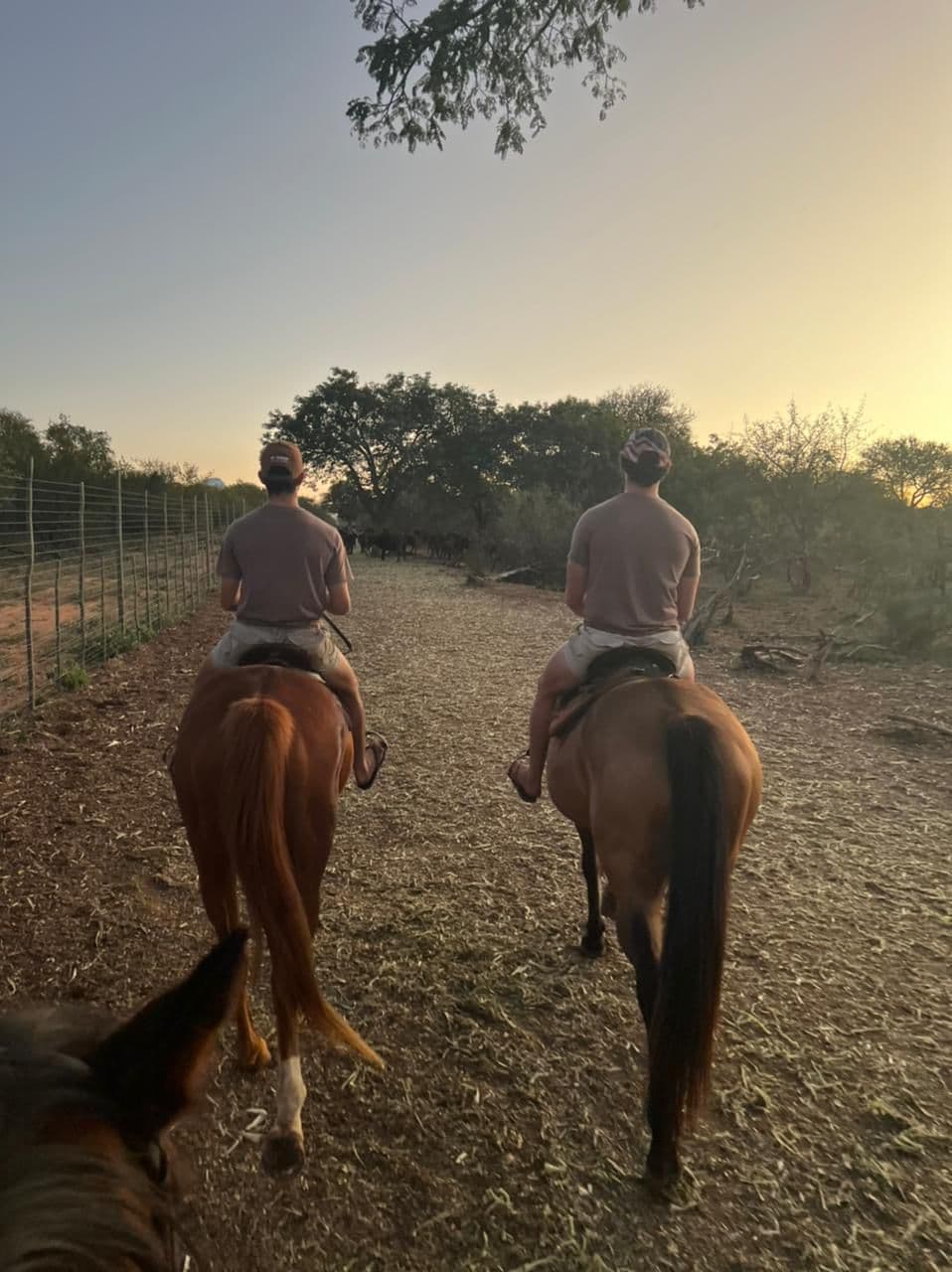 Riders moving away across the reserve