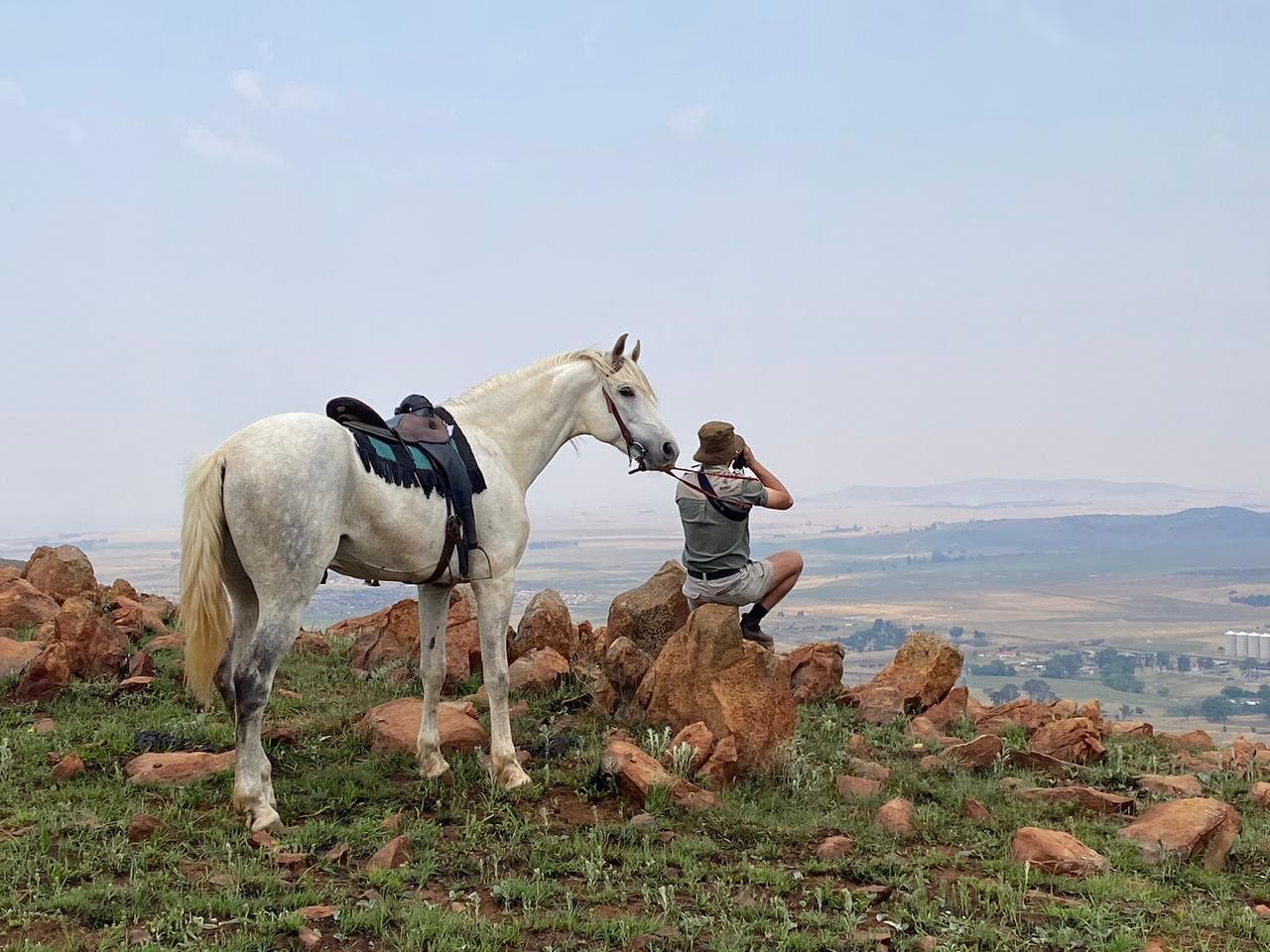 White horse at a rocky viewpoint