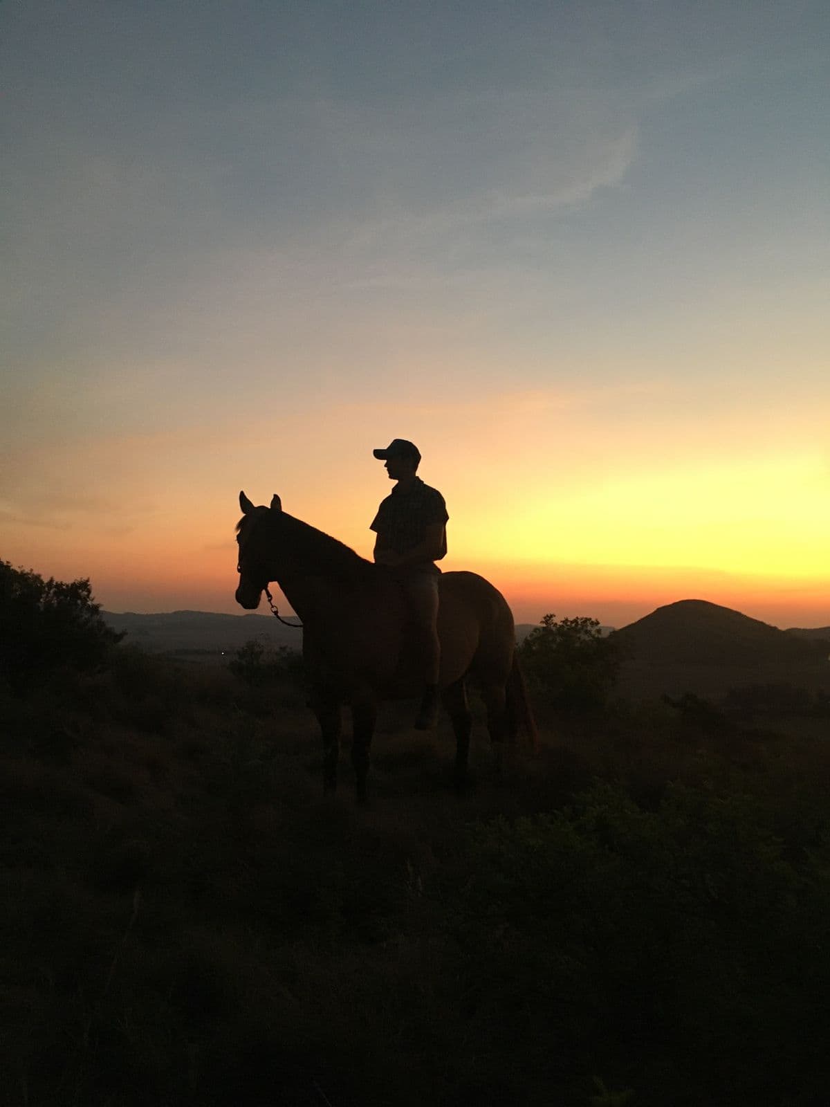 Mounted guide silhouetted at sunset