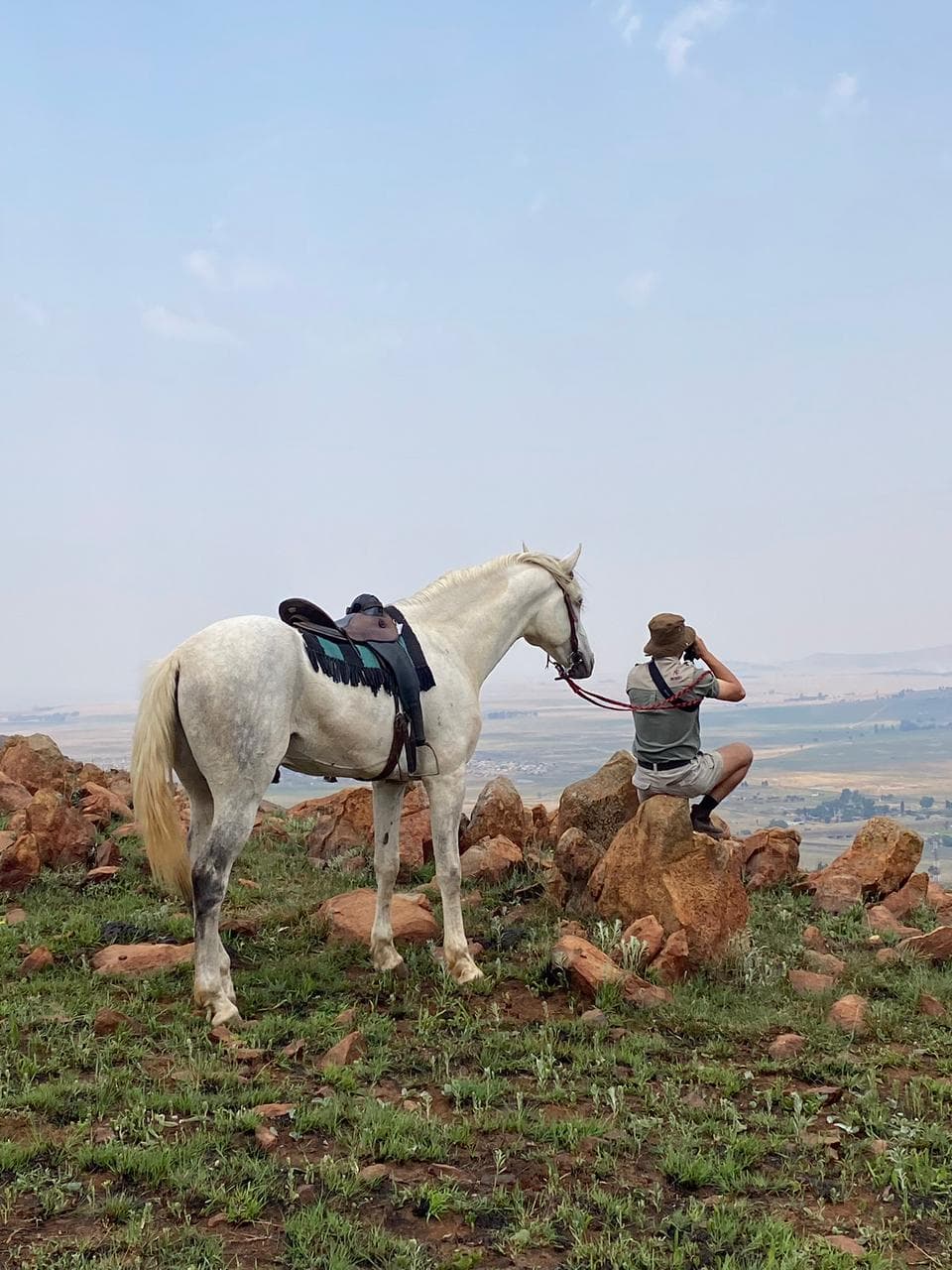 White horse at the viewpoint