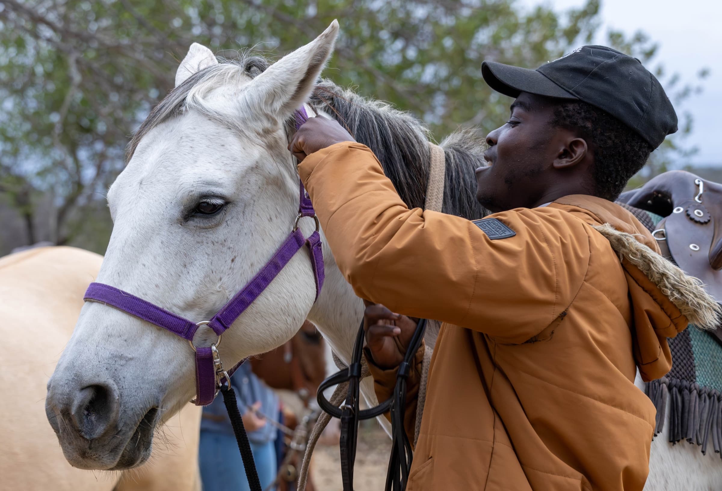 Andre preparing a horse at Nimble Drift